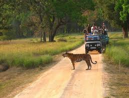 Hyderabad Wildlife Tour Packages | call 9899567825 Avail 50% Off